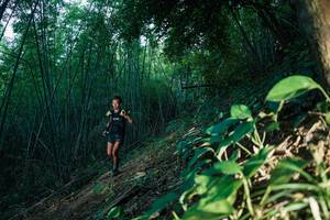 BIB: 
                            <button type="button" onclick="openModal(28123792)" class="btn btn-primary btn-sm float-right btn-popup" data-toggle="modal" data-target=".modal-high-quality">
                        <i class="fas fa-shopping-cart"></i> Add to Cart
                    </button>
                                            <button type="button" onclick="isThisMe(28123792, true)" class="btn btn-success btn-sm float-right btn-popup btn-isme hidden" data-toggle="tooltip" data-placement="bottom" title="นี่คือรูปของคุณใช่ไหม คลิกที่นี่เพื่อเอาเข้าอัลบั้ม">
                        <i class="fas fa-plus"></i> Add to album
                    </button>
                    <button type="button" onclick="isThisMe(28123792, false)" class="btn btn-warning btn-sm float-right btn-popup btn-isnotme hidden">
                        <i class="fas fa-ban"></i> Remove from album
                    </button>